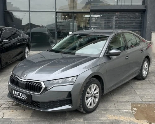 Seramik Kaplama Çayyolu | Protego Car Protection