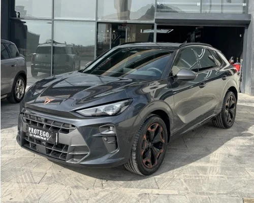Cupra PPF Kaplama Fiyatları Ankara 2026 | STEK Yetkili Uygulama