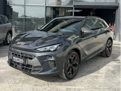 Cupra PPF Kaplama Fiyatları Ankara 2026 | STEK Yetkili Uygulama